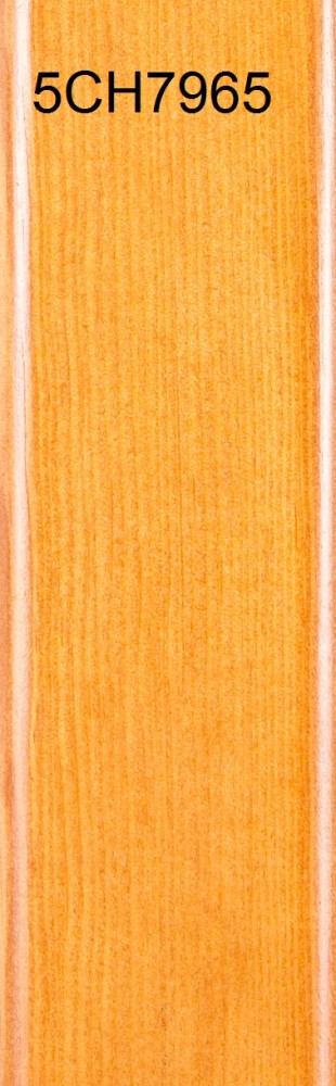 5CH7965